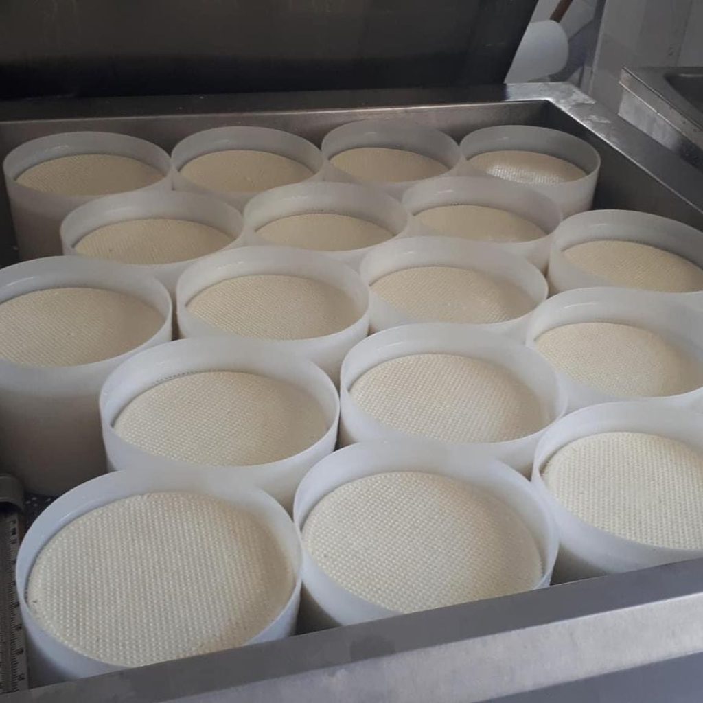 pecorino sardo IMG-20250225-WA0002